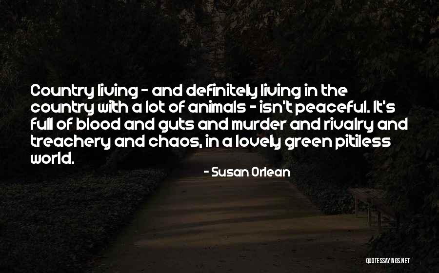 Funny Faceplant Quotes By Susan Orlean Funny Faceplant Quotes By Susan Orlean