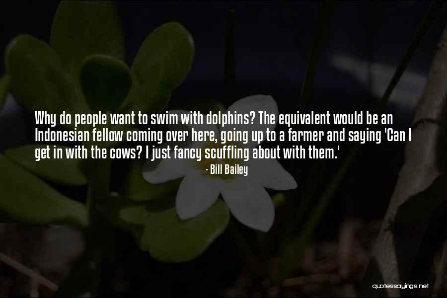 Funny Fancy Quotes By Bill Bailey Funny Fancy Quotes By Bill Bailey