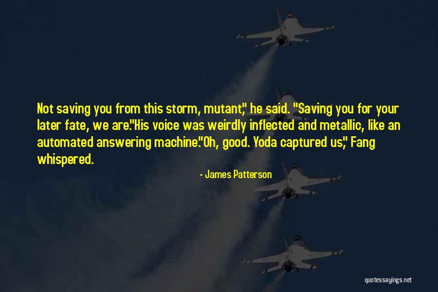 Funny Fang Quotes By James Patterson