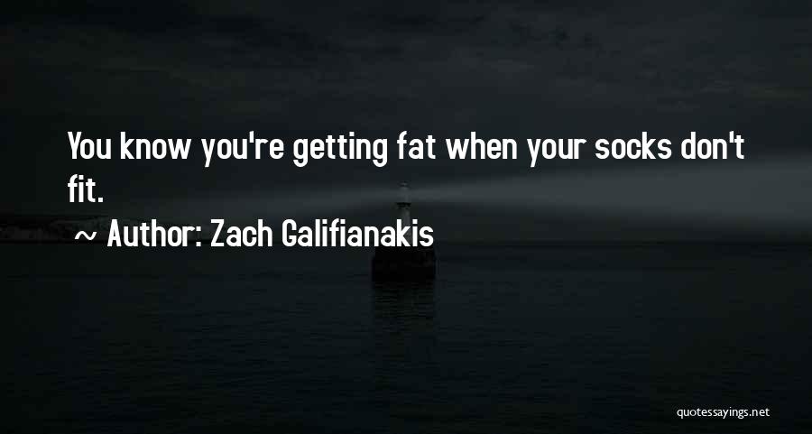 Funny Fat Quotes By Zach Galifianakis