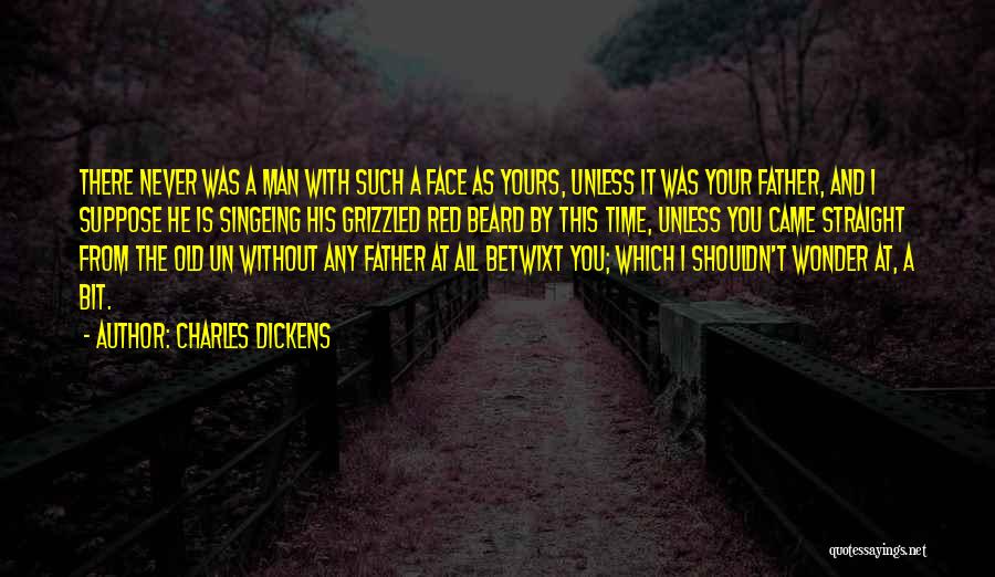 Funny Father Quotes By Charles Dickens