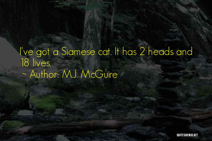 Funny Feline Quotes By M.J. McGuire