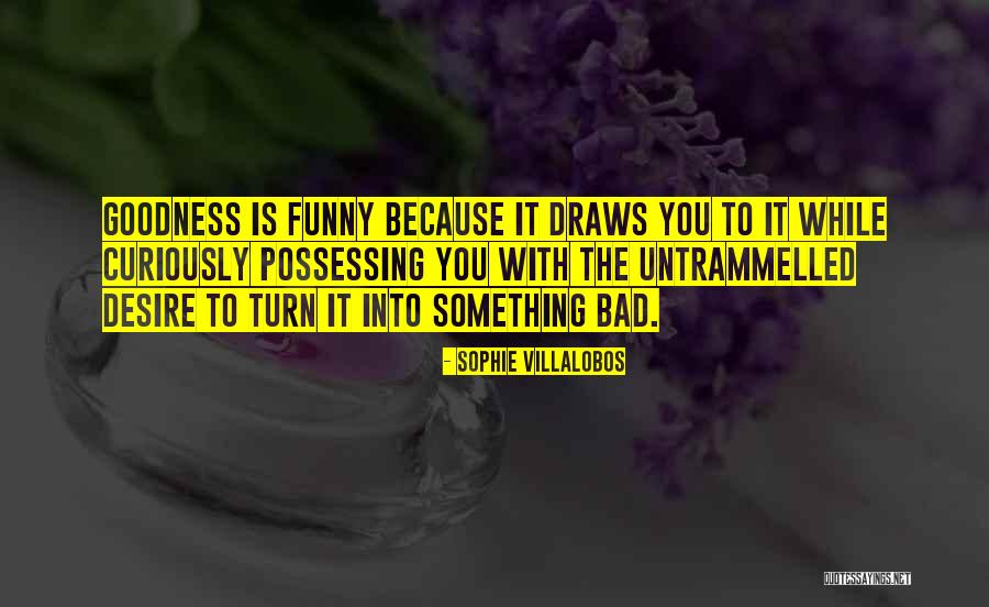 Funny Fiction Quotes By Sophie Villalobos