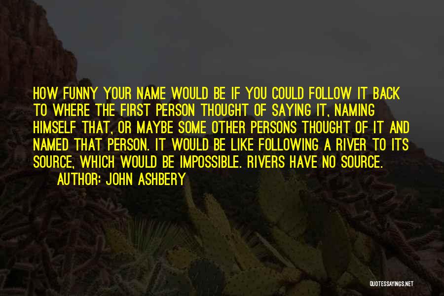 Funny Following Quotes By John Ashbery