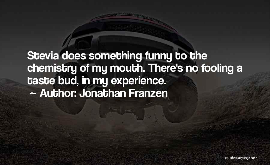 Funny Fooling Quotes By Jonathan Franzen