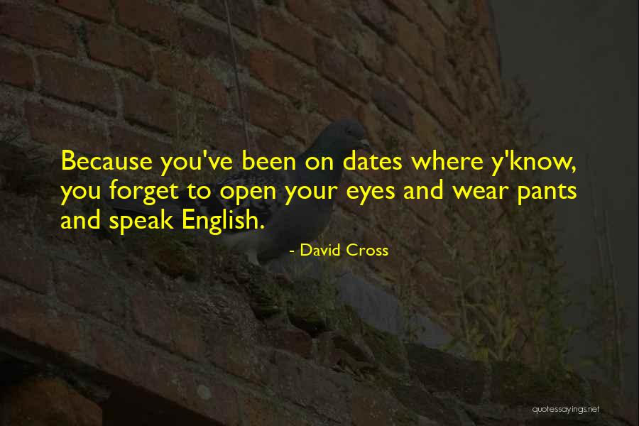 Funny Forget You Quotes By David Cross Funny Forget You Quotes By David Cross