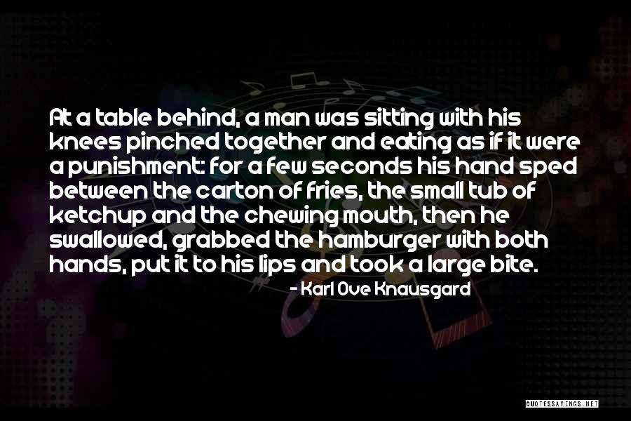 Funny Fries Quotes By Karl Ove Knausgard Funny Fries Quotes By Karl Ove Knausgard