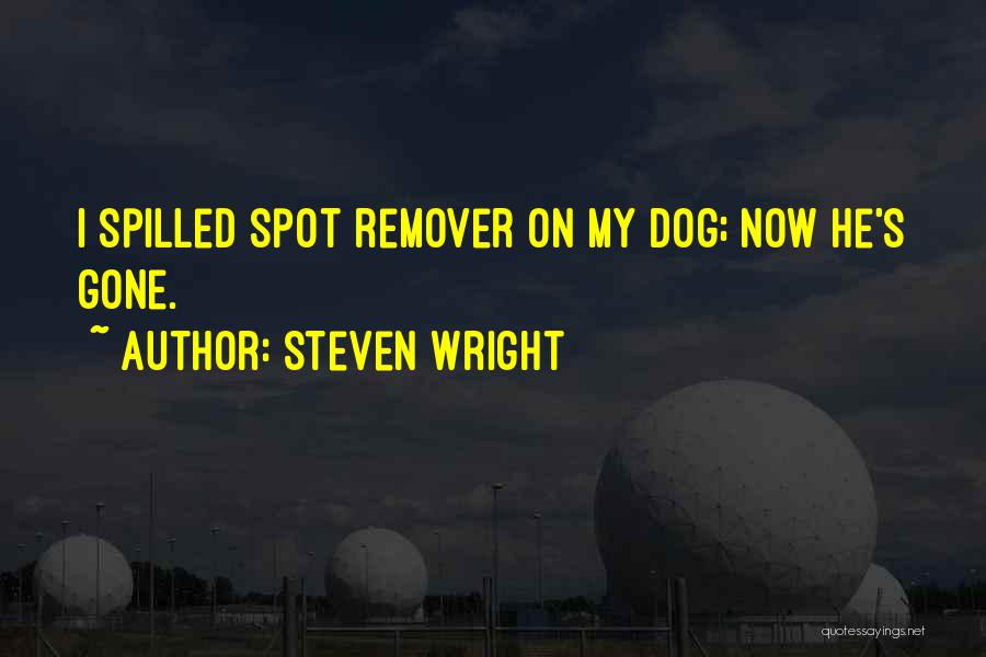 Funny G Spot Quotes By Steven Wright