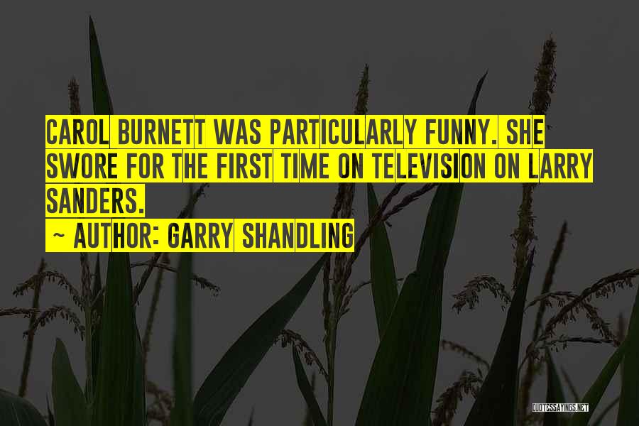 Funny Garry Shandling Quotes By Garry Shandling