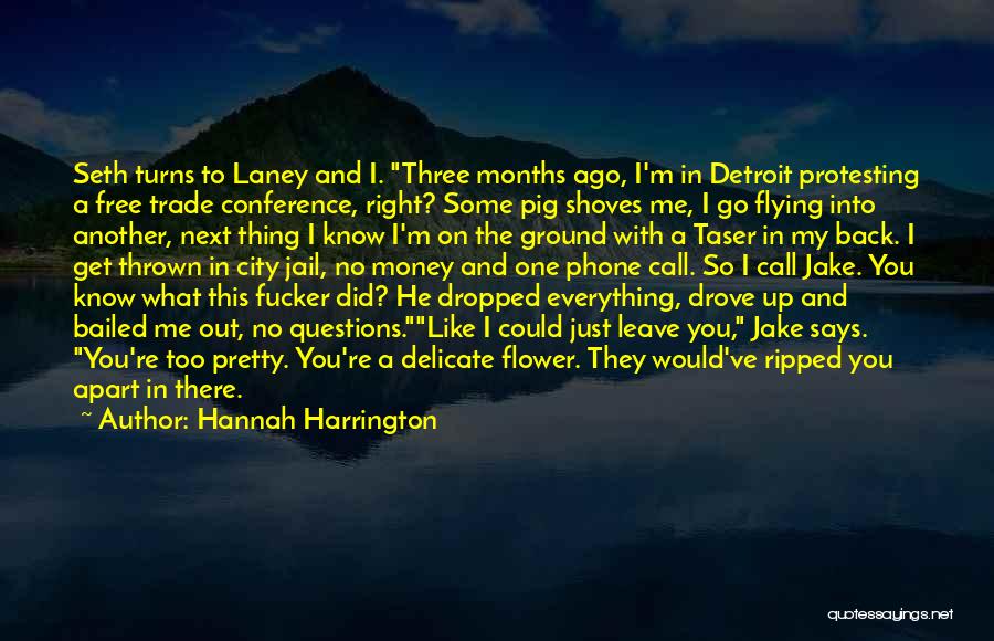 Funny Get Back Up Quotes By Hannah Harrington