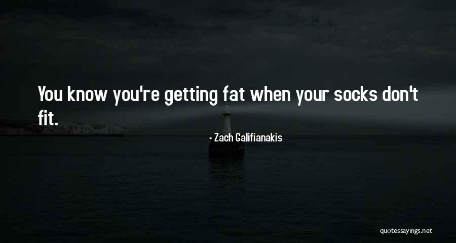 Funny Get Fit Quotes By Zach Galifianakis