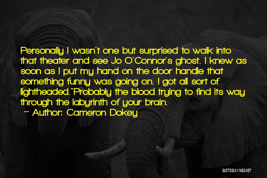 Funny Ghost Quotes By Cameron Dokey