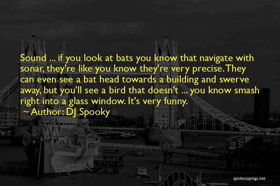 Funny Glasses Quotes By DJ Spooky