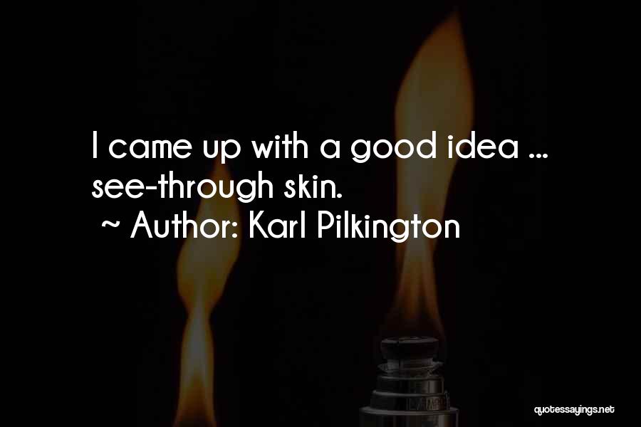 Funny Good Idea Quotes By Karl Pilkington