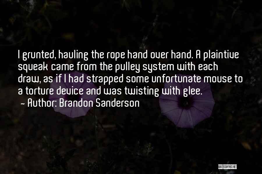 Funny Goofy Quotes By Brandon Sanderson
