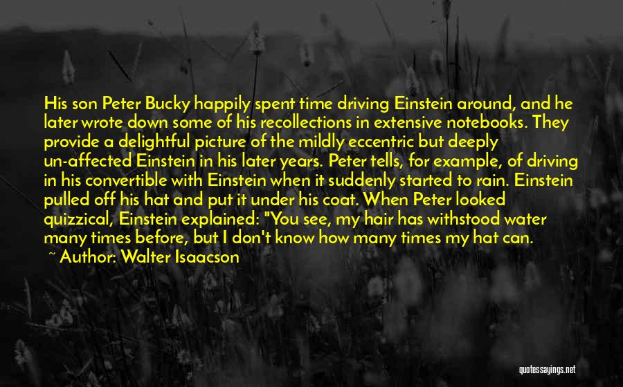 Funny Hair Quotes By Walter Isaacson