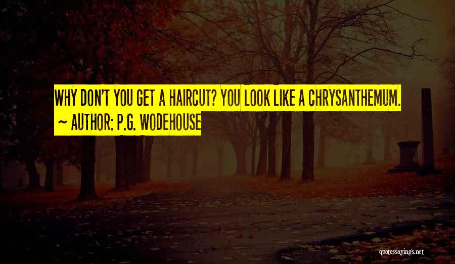 Funny Haircut Quotes By P.G. Wodehouse