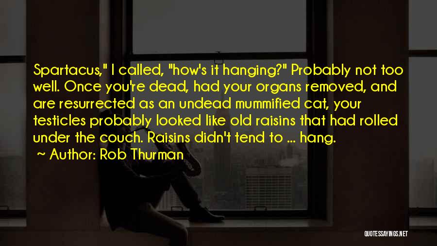 Funny Hang Out Quotes By Rob Thurman