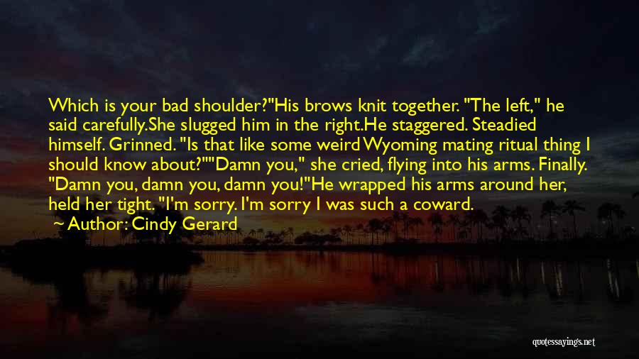 Funny He Said She Said Quotes By Cindy Gerard