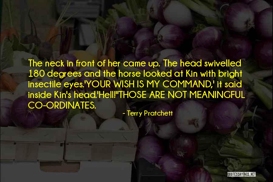 Funny Head Up Quotes By Terry Pratchett