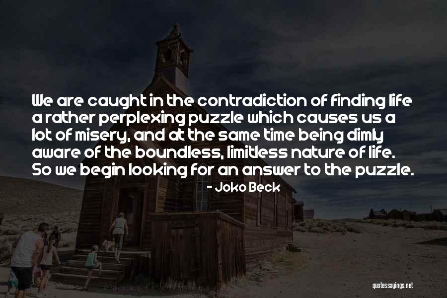 Funny Healthy Diet Quotes By Joko Beck