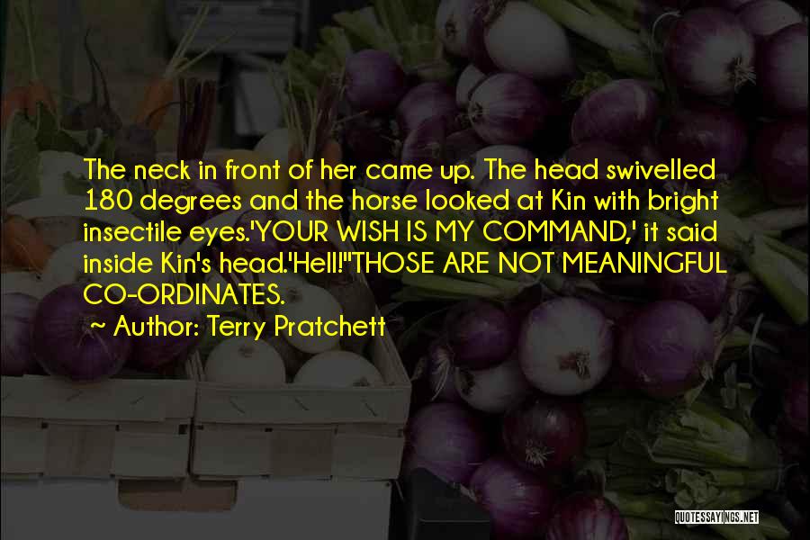 Funny Hell Quotes By Terry Pratchett