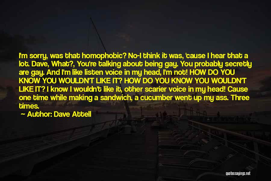 Funny Homophobic Quotes By Dave Attell