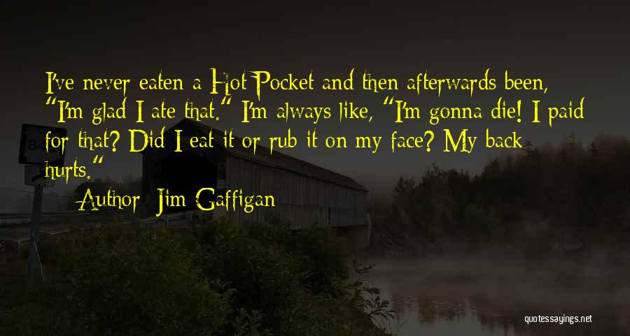 Funny Hot Pocket Quotes By Jim Gaffigan