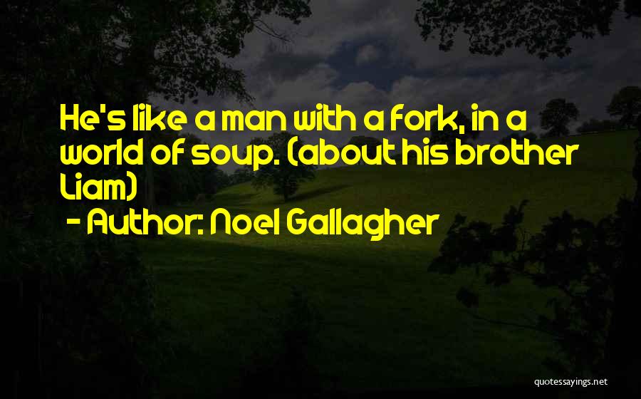 Funny Humour Quotes By Noel Gallagher