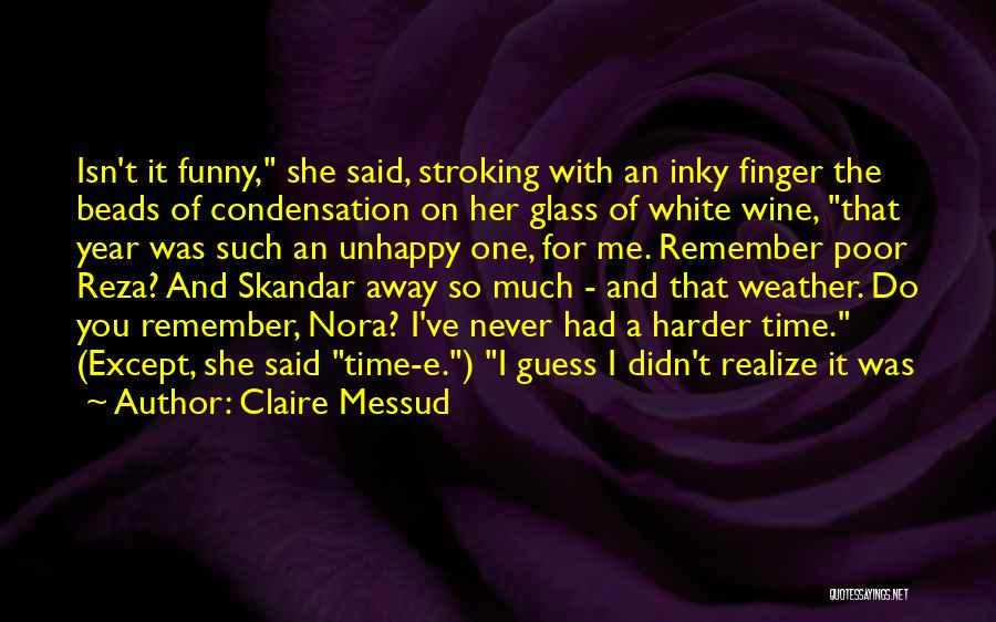 Funny I Didn't Do It Quotes By Claire Messud