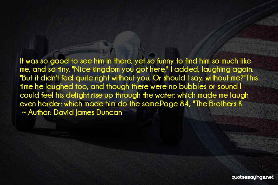 Funny I Didn't Do It Quotes By David James Duncan