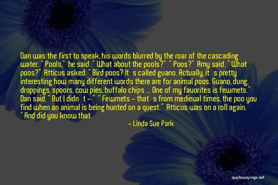 Funny I Didn't Do It Quotes By Linda Sue Park