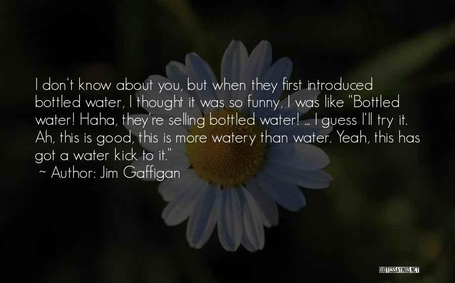 Funny I Like You More Than Quotes By Jim Gaffigan