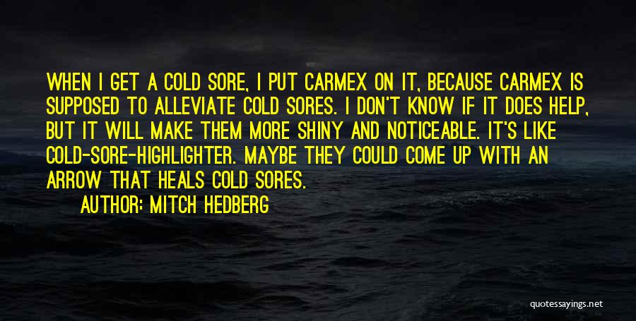 Funny I'm Cold Quotes By Mitch Hedberg