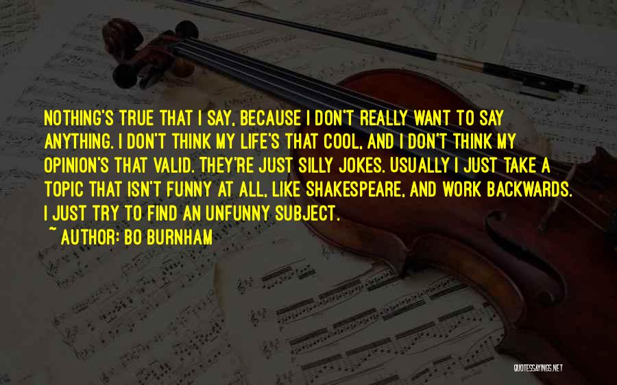 Funny In My Opinion Quotes By Bo Burnham