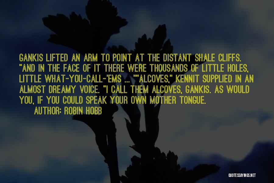 Funny In Your Face Quotes By Robin Hobb