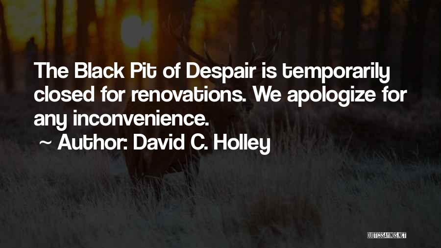 Funny Inconvenience Quotes By David C. Holley