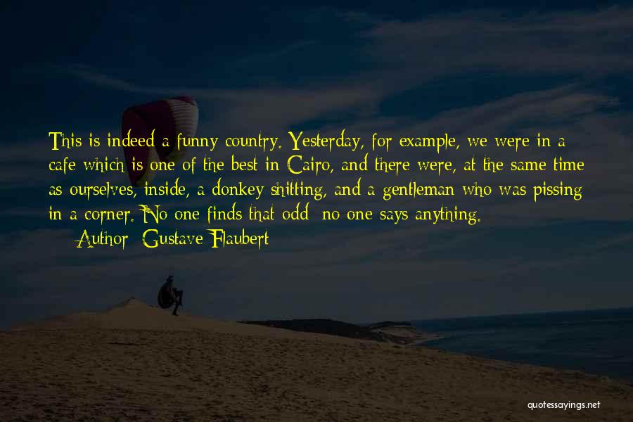 Funny Indeed Quotes By Gustave Flaubert