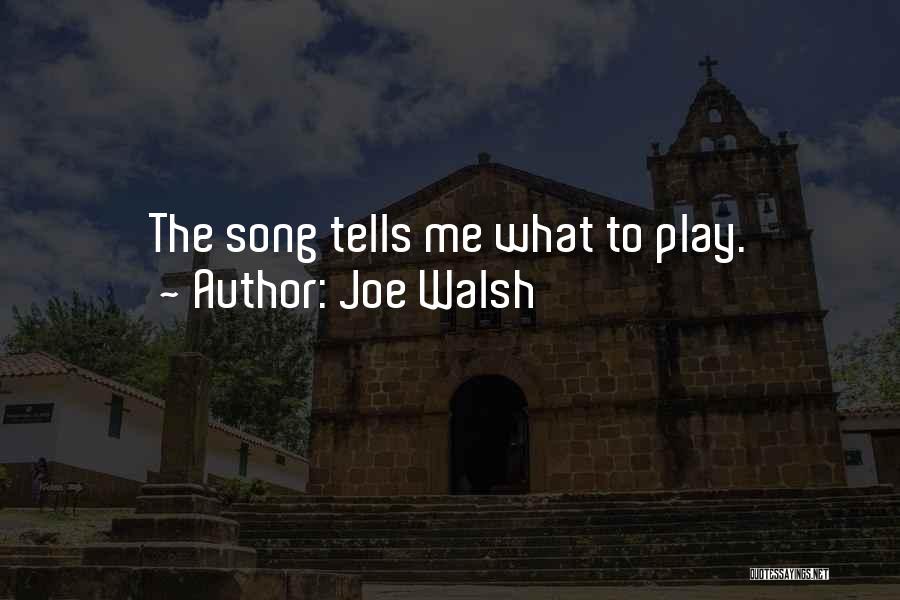 Funny Inspiring Quotes By Joe Walsh