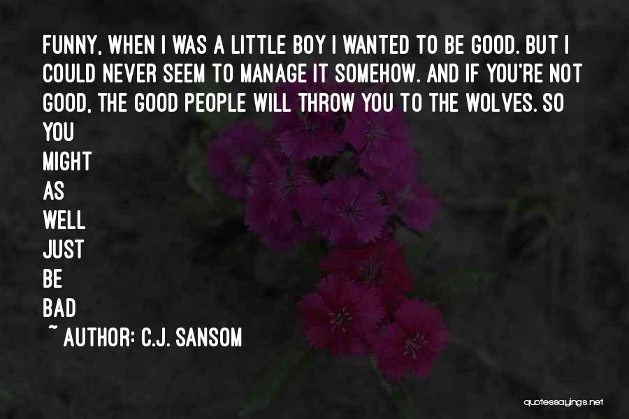 Funny It A Boy Quotes By C.J. Sansom