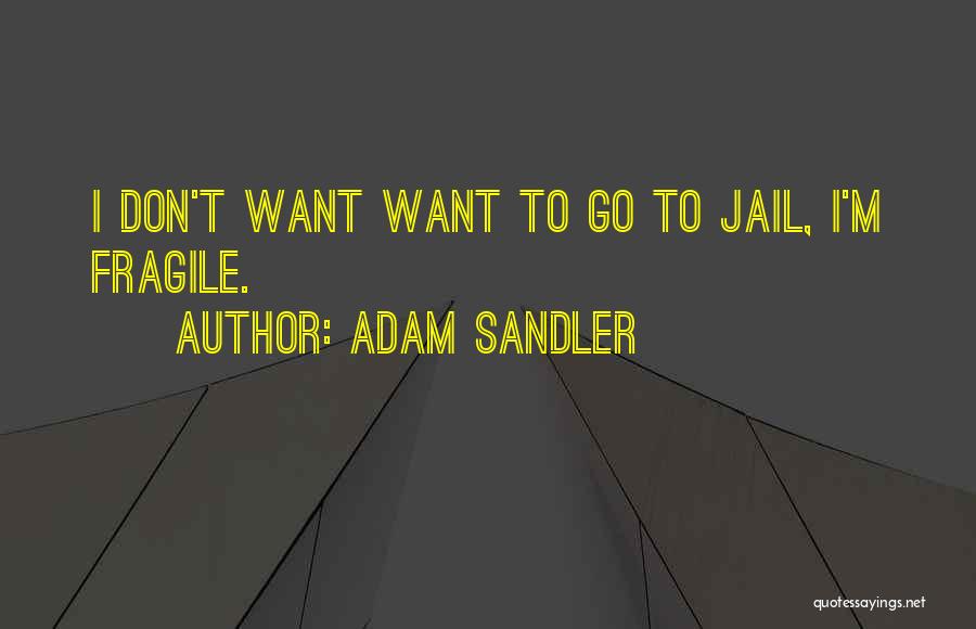 Funny Jail Quotes By Adam Sandler