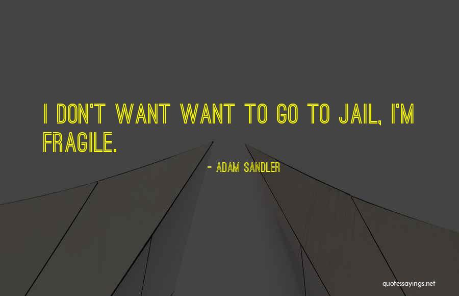 Funny Jail Quotes By Adam Sandler