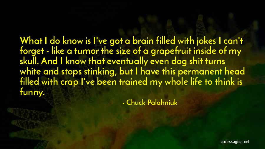 Funny Jokes Quotes By Chuck Palahniuk Funny Jokes Quotes By Chuck Palahniuk