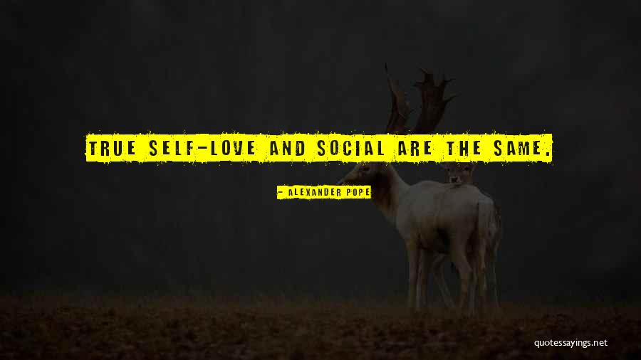 Funny Jose Cuervo Quotes By Alexander Pope