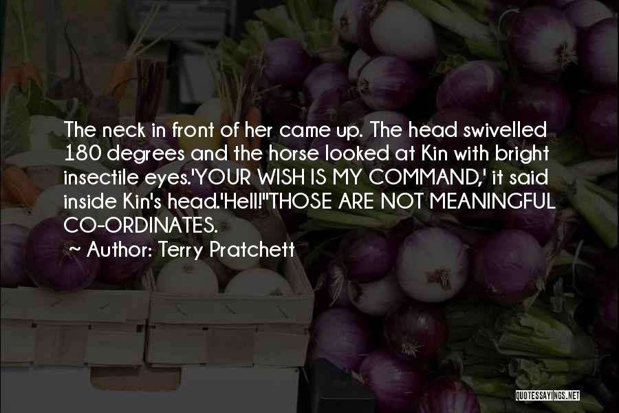 Funny Life Death Quotes By Terry Pratchett