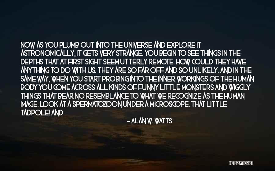 Funny Little Life Quotes By Alan W. Watts