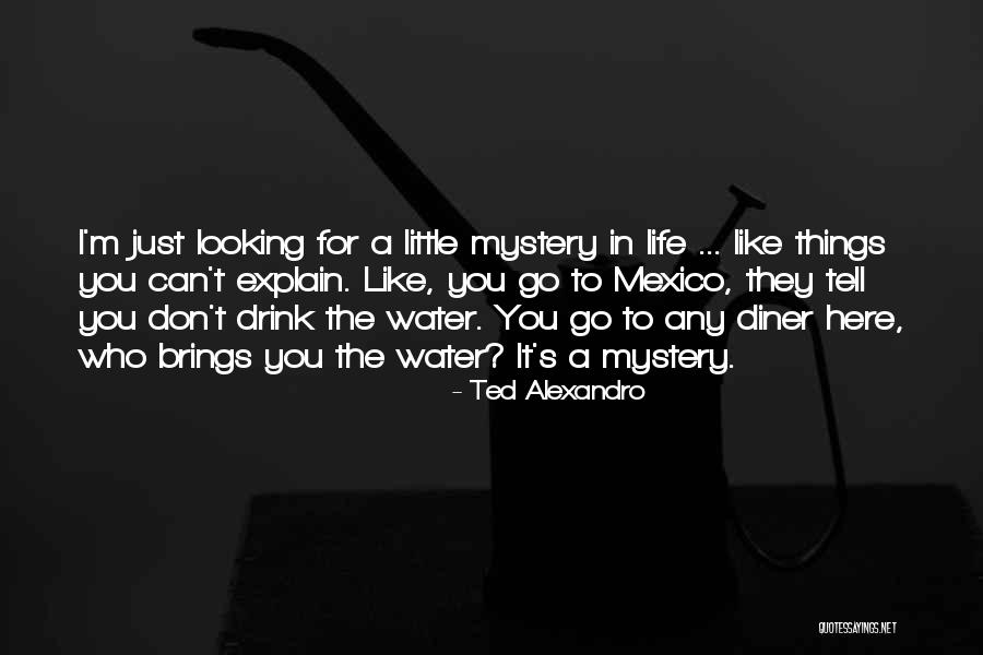 Funny Little Life Quotes By Ted Alexandro