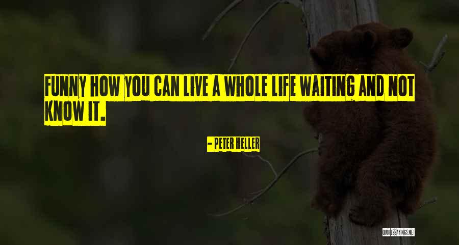 Funny Live Life Quotes By Peter Heller Funny Live Life Quotes By Peter Heller