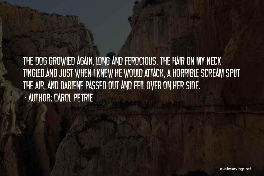 Funny Long Hair Quotes By Carol Petrie