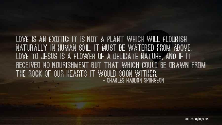 Funny Luke Hemmings Quotes By Charles Haddon Spurgeon Funny Luke Hemmings Quotes By Charles Haddon Spurgeon